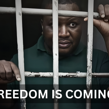 FREEDOM IS COMING COURT TO DELIVER RULING ON NAKACHINDA’S BAIL APPLICATION ON 10TH NOVEMBER
