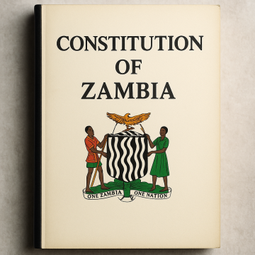 constitution BILL 7, THE ROAD WE TOOK, AND THE ROAD WE MUST TAKE AFTER 2026